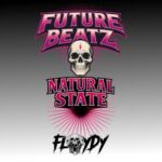 Floydy – Natural State