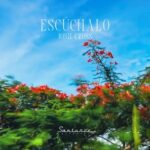 Josh Cross – Escuchalo