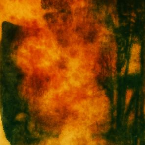 Backfeed – Critical Cycle