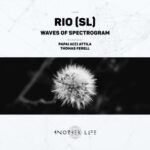 Papai ACCI Attila, Thomas Ferell – Waves of Spectrogram