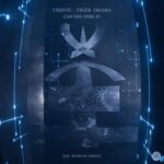 Now O Later, CHIYOU – Can You Feel It