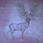 Dan Rubell, Najwars – Sharp Focus