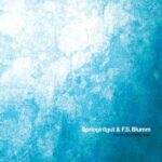 F.S.Blumm, Springintgut – The Bird and White Noise