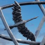 Lostlojic, Saturated Color – Where You From