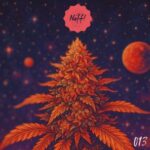 Nick Stoynoff, Randall Jones – Panama Red