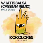 CASSIMM, Maex – What Is Salsa (CASSIMM Remix)