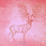 Dan Rubell, Walter Kurtz – Interfaces