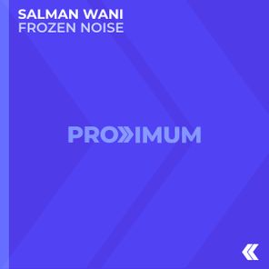 Salman Wani – Frozen Noise