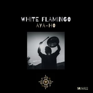 white flamingo – Aya-Ho