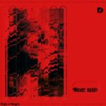 Noise.Dsgnr – Rojo o Negro