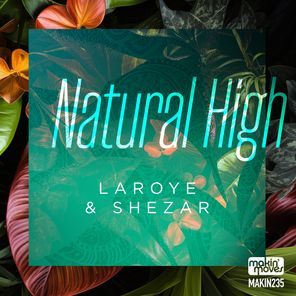 ShezAr, Laroye – Natural High