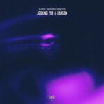 MAESTRI, Nick Ryan – Looking For a Reason