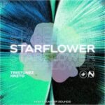 Krzto, TrisTunez – Starflower
