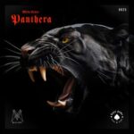 Milla Lehto – Panthera
