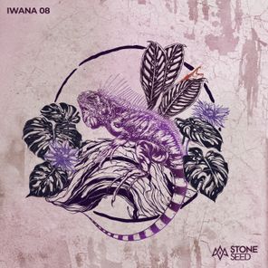 Maksim Dark, Breger – IWANA 08