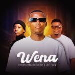 Dj Subzer, DroopletDj – Wena