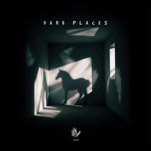 Simple Symmetry, Paul Traeumer – Dark Places