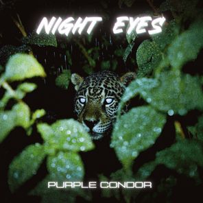 Purple Condor – Night Eyes