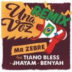 Viniselecta, Mr Zebre – Una voz-Remix