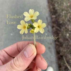 Julian Bainbridge – Flushed Love