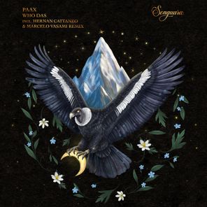 Hernan Cattaneo, Marcelo Vasami – Who Das