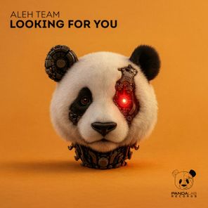 Aleh Team - Looking for You 6 Aleh Team – Looking for You