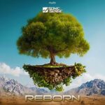 Sonic Sense – Reborn