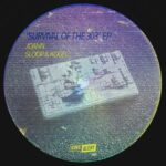 Joann, Sloop en Kogel – Survival Of The 303 EP