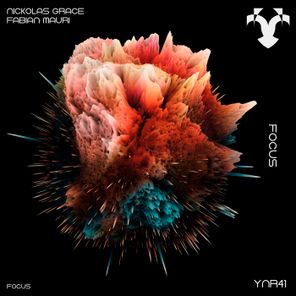 Fabian Mauri, Nickolas Grace – Focus