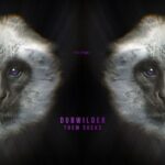 Dubwilder – Them Socks