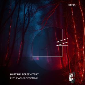 Bereznitsky, Diiptrip – In the Arms of Spring
