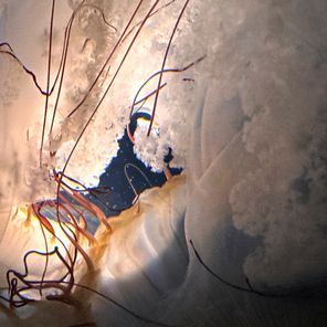 Pianeti Sintetici, Tenzia – collected details 01