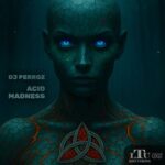 DJ Perroz – Acid Madness