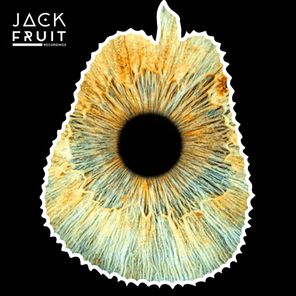 Dompe – Groove Lab