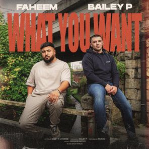 Bailey P, Faheem – What You Want (Extended Mix)