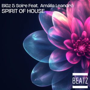 BiGz, Soire – Spirit Of House