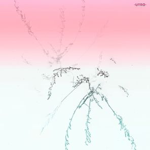 Cerbu, Patalakh - life without u 1 Cerbu, Patalakh – life without u