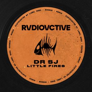 Dr SJ - Little Fires 1 Dr SJ – Little Fires