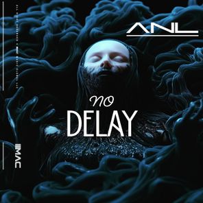ANL – No Delay