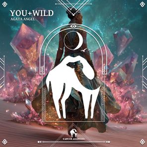 Cafe De Anatolia, Agata Angel – You+Wild