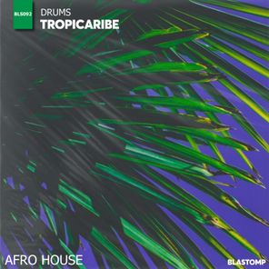 Tropicaribe - Drums 1 Tropicaribe – Drums