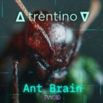 Trentino – Ant Brain