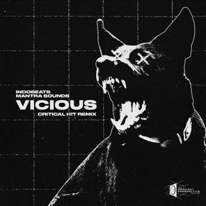 Mantra Sounds, Indobeats – Vicious