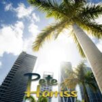Pete Harriss – Miami