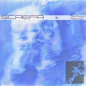 Scaefa – Test Chamber / Responsible