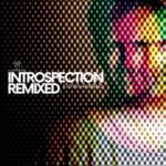 Jochem Hamerling, Raw Underground – Introspection Remixed