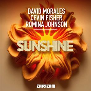 David Morales, Cevin Fisher – SUNSHINE