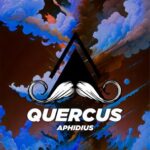 Aphidius – Quercus