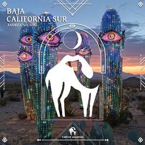 Cafe De Anatolia, Andrea Nocioni – Baja California Sur