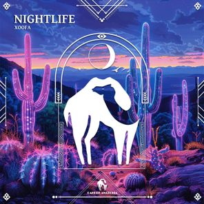 Cafe De Anatolia, XooFa – Nightlife